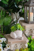 Decorative Snail Planter, 9.5 Inch, Textured Beige by Noeko