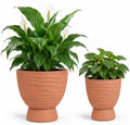 vensovo Terracotta Self Watering Plant Pots, 6 and 8 Inch with Saucers by vensovo