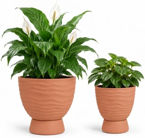vensovo Terracotta Self Watering Plant Pots, 6 and 8 Inch with Saucers by vensovo