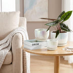 Plant Pots,Ceramic Flower Pots with Drainage Holes & Saucer Set of 3（Pearl） - Image 7