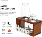 Simple Hydroponics Glass Planter with Wooden Bracket for Flowers - Image 7