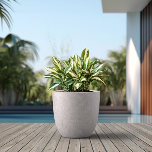 Kante Large Round Bowl CON Gray Concrete Planter 18" Dia, Outdoor - Image 3