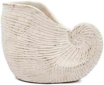 Nautilus Shell Planter, 8.5 Inch, Beige - Image 4
