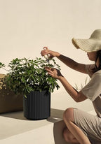 Veradek Demi Series Round Planter for Porch, Patio, Backyard | Durable Plastic-Concrete Material | Modern Décor for Tall Plants, Flowers - Image 5