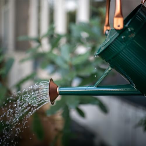 1 Gallon Dark Green Metal Watering Can, Removable Spout - Image 4