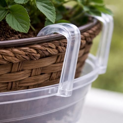 Curtis Wagner 10" Clear Hanging Basket Drip Pan Saucer (15-Pack) - Image 3