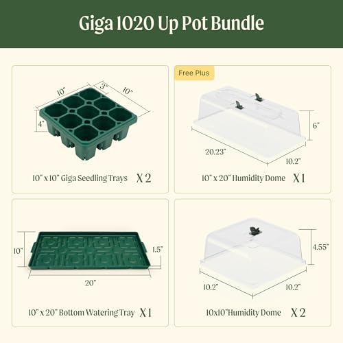 Vego garden Germination Bundle, 2Packs Giga Seedling Trays with Seedling Tray Lids and 10" x 20" Bottom Watering Trays Plus Seedling Humidily Dome - Image 2