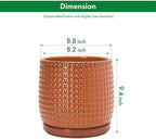 D'vine Dev Beaded Ceramic Pot with Saucer, 8 in, Pumpkin, 27-C-Q-J - Image 3