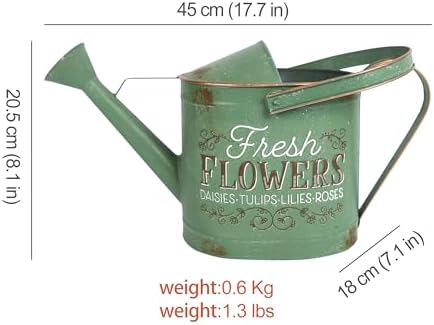 Vintage Metal Watering Can with Fresh Flowers Emboss Garden Decorative Watering Pot Farmhouse Water Can for Home Indoor Outdoor Garden Balcony Courtyard (Green) - Image 2