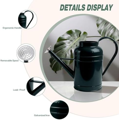 2.3 Gallon Dark Green Metal Watering Can for Plants and Garden with Removable Spout, Made of Galvanized Iron - Image 3