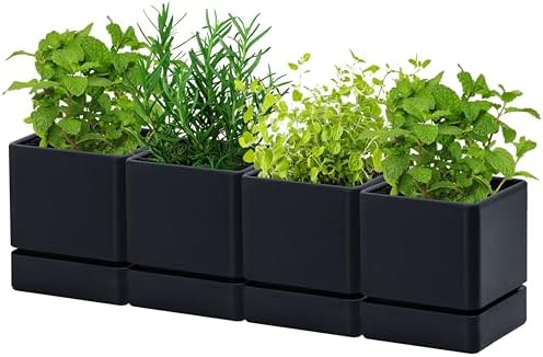 D'vine Dev 4-Pack Plastic Herb Planter Pots, 4 in, Black, 76-Y-B4-1 by DvineDevPlanterPotsandStand