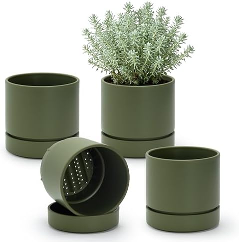 Phoenix Vine 6 Inch Planter Pot with Drainage Hole & Saucer, Deep Water Catch Tray, Straight Cylindrical Round Pot for Plants, Olive, Pack of 4, 23-D-S-4 by Phoenix+Vine
