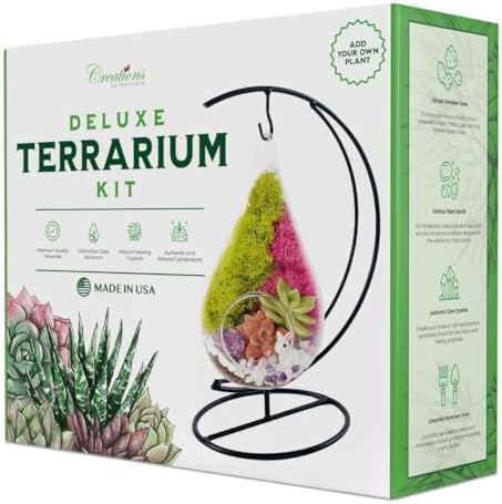 Creations by Nathalie 7" Teardrop DIY Glass Terrarium Kit by CreationsbyNathalie