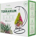 Creations by Nathalie 7" Teardrop DIY Glass Terrarium Kit by CreationsbyNathalie
