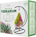 Creations by Nathalie 7" Teardrop DIY Glass Terrarium Kit by CreationsbyNathalie