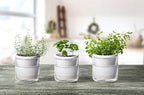 D'vine Dev Self-Watering White Terracotta Planter, 4 in, 3-Pack, 37-Z-A-2-T - Image 2