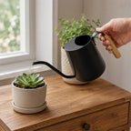 Plant Watering Can, Metal Small Indoor Watering Can with Long Spout & Real Wood Handle for House-Plants, Succulents, Cacti & Seedlings, Small Bonsai Outdoor Garden Modern Decorative - Image 7