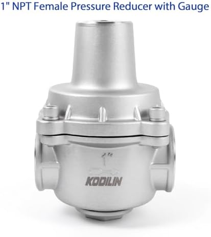 Water Pressure Regulator valve with Gauge, 1" NPT Adjustable RV Water Pressure Regulator, 304 Stainless Steel Water Pressure Reducing Valve for Garden, Home, Industrial Use - Image 4
