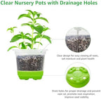 MIXC Clear Nursery Pots with Silicone Base, 5-Inch, 30-Pack - Image 6