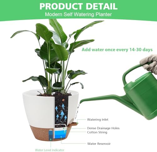 Self Watering Planter with Visual Water Level, 6Pack Small Plastic Pot Set with Drainage Holes and Reservoir Saucers, Modern 8+7+6.5+6+5.5+5 Inch Bottom Watering Flower Pots for Indoor Plant - White - Image 6