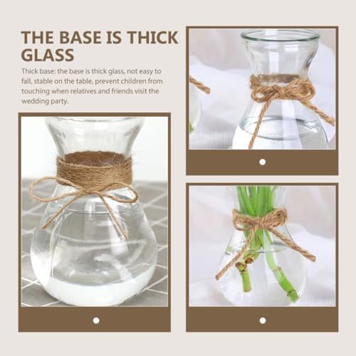 3pcs Glass Flower Storage Bottle Hydroponic Plant Vase Xmas - Image 4