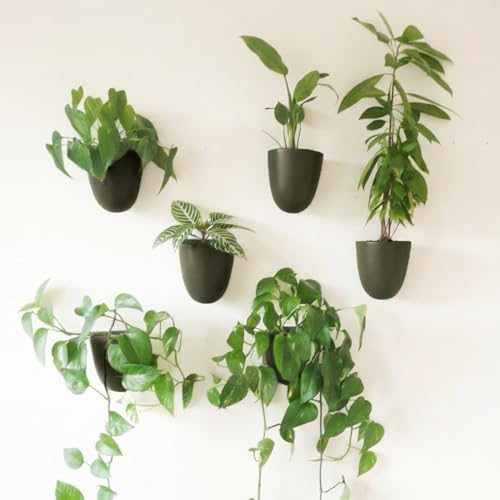 Make Good PlantPod Luxe - Self-Watering Wall Planters (Set of 6, Forest Green) - Easy to Water and Install - Lightweight - Design Your Own Vertical Garden - Wall Planters for Indoor Plants by MakeGood
