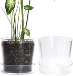 Phoenix Vine 8 Inch Clear Acrylic Planter Pot with Tray, Orchid Pot with Drainage Holes, Deep Saucer for Bottom Watering, Transparent Containers for Indoor Plants, Herbs, Set of 2, 91-A-G-2 by Phoenix+Vine