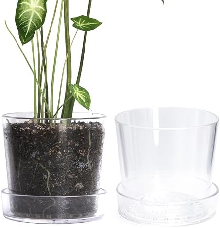 Phoenix Vine 8 Inch Clear Acrylic Planter Pot with Tray, Orchid Pot with Drainage Holes, Deep Saucer for Bottom Watering, Transparent Containers for Indoor Plants, Herbs, Set of 2, 91-A-G-2 by Phoenix+Vine