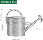 Galvanized Watering Can for Outdoor Indoor Plants, 2.5 Gallon Ellipse Decorative Countryside Style Water Can with Removable Spout, Metal Watering Can for Indoor Plants and Garden Flower - Image 2