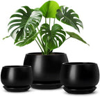 vancasso 3-Pack Ceramic Plant Pots, 3.7/4.8/6.2 Inch Indoor Planters with Saucers & Drainage Hole Planter pots for Indoor Plants and Flower, Black by vancasso