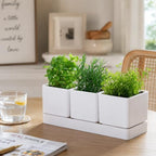 D'vine Dev 2-Pack Plastic Herb Garden Planter Set, White, 76-V-A-2 - Image 2