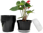 RooTrimmer 12 Pack Plant Pots, 8 Inch Plant Planter with Clear Saucer, Plastic Pots for Plants Indoor and Out Door Such as Strawberry, Herb and Flowers (Black) by RooTrimmer