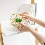 Mkono 3 Pack Fake Succulents in Geometric Glass Terrarium Gold Office Decor - Image 3