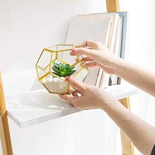 Mkono 3 Pack Fake Succulents in Geometric Glass Terrarium Gold Office Decor - Image 3