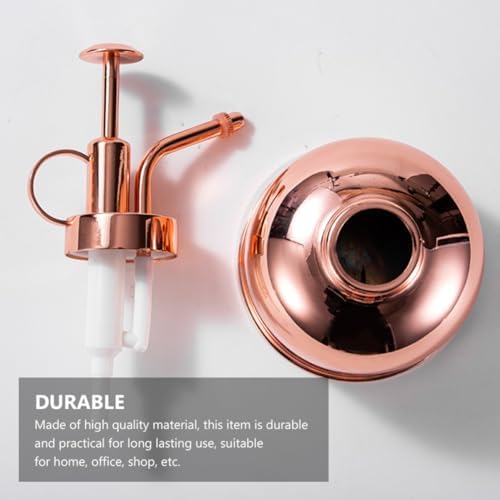 Vintage Succulent Watering Bottle with Pump Stainless Steel Mister - Image 5