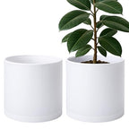 D'vine Dev 2-Pack White Plastic Planters with Saucers, 12 in, 74-Z-P-1 by DvineDevPlanterPotsandStand