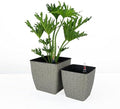 2-Pack Self-Watering Planter - Hand Woven Wicker - Thin Square by Unknown