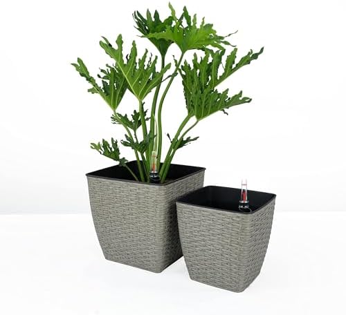 2-Pack Self-Watering Planter - Hand Woven Wicker - Thin Square by Unknown