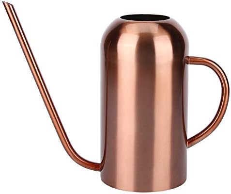 Stainless Steel Watering Can, 1.5L/53oz Small Watering Can Indoor Plants with Long Spout Outdoor Watering Can Pot Modern Style Plant Watering Can for Garden Flower Decorative by Hapivida
