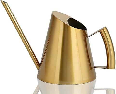 Watering Can for Indoor Plants, Metal Watering Can with Long Spout Stainless Steel Water Cans for House Plants Small Water Can for Succulent Bonsai Garden Flower(L) by Cyrank