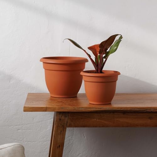Bloem Ariana 8" Plastic Self-Watering Planter, Terra Cotta, 4-Pack - Image 2