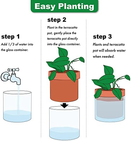 Phoenix Vine 6 Inch Self Watering Planter Pot, Terracotta Clay Pot with Glass Reservoir for Indoor Plants, Herbs, Flowers, Set of 1, 52-A-F-1 - Image 6