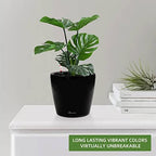 Dexceder 9x8 Self Watering Planter (Black High Gloss) - Image 6