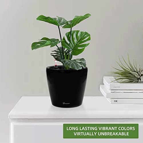 Dexceder 9x8 Self Watering Planter (Black High Gloss) - Image 6