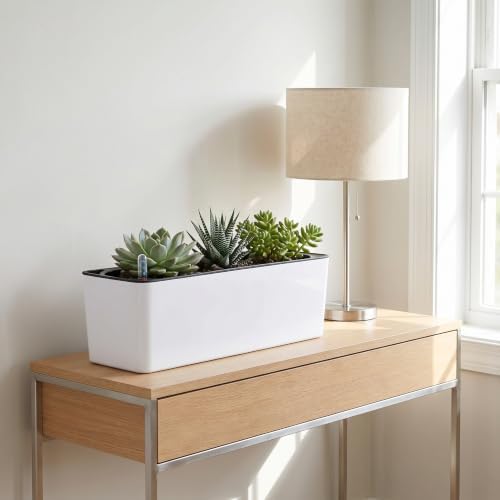 Fasmov 2 Pack Rectangle Self Watering Planter with Water Level Indicator, 16x 5.5 Inch Window Gardening Box, Decorative Planter Pot for All House Plants Flowers Herbs, Decorative Planter Pot - Image 4