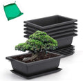 GROWNEER Bonsai Pots with Drainage Tray 6 Pack 9 Inch Bonsai Training Pot by GROWNEER