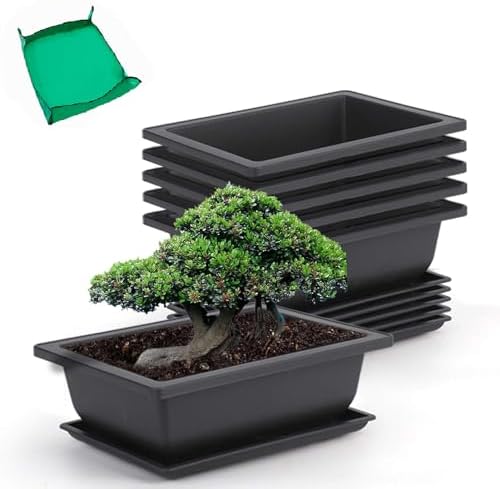GROWNEER Bonsai Pots with Drainage Tray 6 Pack 9 Inch Bonsai Training Pot by GROWNEER