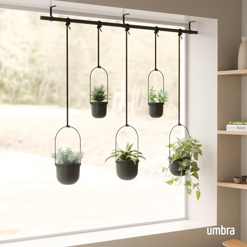 Umbra Triflora Hanging Planter, Window Herb Garden, Set of 5, Black/Black - Image 2