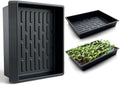 RooTrimmer Seed Starter Tray, 10 Packs Plant Tray, Durable Plastic Growing Trays, Stackable Seedling Starter Trays Perfect for Indoor, Outdoor, Greenhouses, 16.5" L x 13.2" W x 2.8" H - Black by RooTrimmer