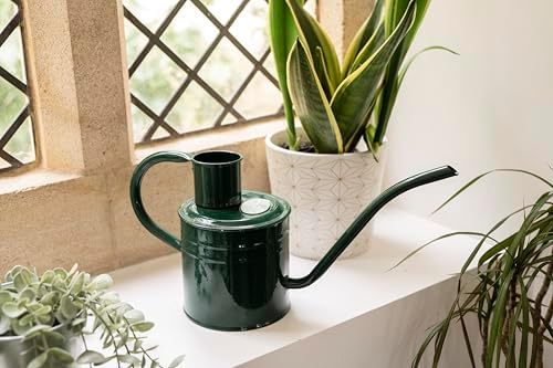 Kent & Stowe 2L Indoor/Outdoor Watering Can in Forrest Green, Rust-Resistant Galvanised Watering Can with Handle and Long Spout, Classic All Year Round Garden Tools Made from Steel - Image 2